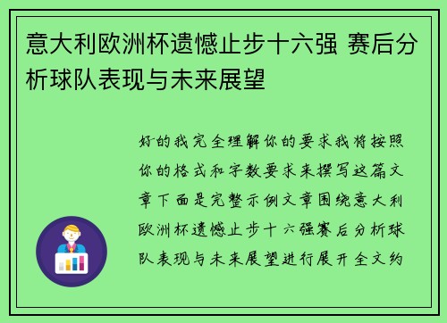 意大利欧洲杯遗憾止步十六强 赛后分析球队表现与未来展望